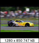 24 HEURES DU MANS YEAR BY YEAR PART SIX 2010 - 2019 - Page 3 10lm64c6r.zr1o.gavin-zyi7f