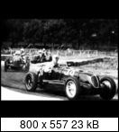 Targa Florio (Part 2) 1930 - 1949  - Page 2 1938-tf-38-bianco4c2duv