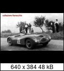 Targa Florio (Part 3) 1950 - 1959  - Page 2 1951-tf-22-sapienza01j2iv7