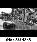 Targa Florio (Part 3) 1950 - 1959  - Page 3 1953-tf-36-02vwi0h