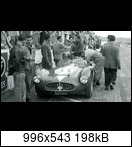 24 HEURES DU MANS YEAR BY YEAR PART ONE 1923-1969 - Page 37 1955-lm-31-tomasigiar4kkus