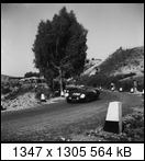 Targa Florio (Part 3) 1950 - 1959  - Page 5 1955-tf-116-castelottthe5a