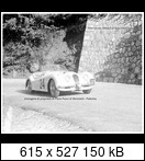 Targa Florio (Part 3) 1950 - 1959  - Page 4 1955-tf-24-jaguarxk12s6dgm