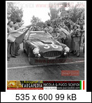 Targa Florio (Part 3) 1950 - 1959  - Page 4 1955-tf-36fiat8vzagattbd5j