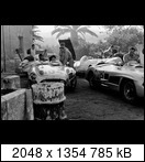 Targa Florio (Part 3) 1950 - 1959  - Page 5 1955-tf-500-misc-075sfki