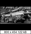 Targa Florio (Part 3) 1950 - 1959  - Page 4 1955-tf-64oscamt4-cabvsdfi