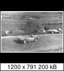 Targa Florio (Part 3) 1950 - 1959  - Page 5 1955-tf-92-belluccide64dtq