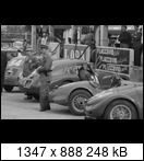 Targa Florio (Part 3) 1950 - 1959  - Page 5 1956-tf-24-vellaallot52fxn