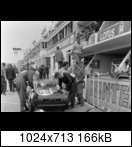 24 HEURES DU MANS YEAR BY YEAR PART ONE 1923-1969 - Page 48 1959-lm-53-staceygreevjkr9