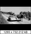 Targa Florio (Part 3) 1950 - 1959  - Page 8 1959-tf-102-pucci-vonshikl