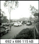 Targa Florio (Part 3) 1950 - 1959  - Page 8 1959-tf-38-sepedavis0szi99