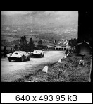 Targa Florio (Part 4) 1960 - 1969  1960-tf-202-allisongifrikt