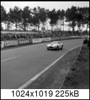24 HEURES DU MANS YEAR BY YEAR PART ONE 1923-1969 - Page 53 1961-lm-19-georgereedx7jil