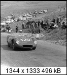 Targa Florio (Part 4) 1960 - 1969  - Page 2 1961-tf-120-scarfiottnsev9