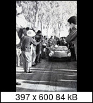 Targa Florio (Part 4) 1960 - 1969  - Page 3 1961-tf-164-p_hillginiec6l