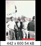 Targa Florio (Part 4) 1960 - 1969  - Page 3 1961-tf-310-j.bonnierzgiob