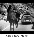 Targa Florio (Part 4) 1960 - 1969  - Page 6 1963-tf-600-misc-18xaiw4