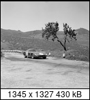 Targa Florio (Part 4) 1960 - 1969  - Page 7 1964-tf-118-19hsfvx