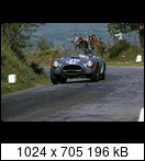 Targa Florio (Part 4) 1960 - 1969  - Page 7 1964-tf-146-03e2iek