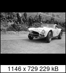 Targa Florio (Part 4) 1960 - 1969  - Page 7 1964-tf-152-149pc6r