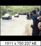 Targa Florio (Part 4) 1960 - 1969  - Page 6 1964-tf-30-02qail6