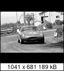 Targa Florio (Part 4) 1960 - 1969  - Page 6 1964-tf-76t-04vjdph