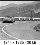 Targa Florio (Part 4) 1960 - 1969  - Page 7 1964-tf-82-01nscfr