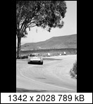 Targa Florio (Part 4) 1960 - 1969  - Page 7 1964-tf-86-13n5d9j