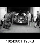 24 HEURES DU MANS YEAR BY YEAR PART ONE 1923-1969 - Page 66 1965-lm-59-005b4jct