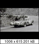 Targa Florio (Part 4) 1960 - 1969  - Page 8 1965-tf-112-12c1fgi
