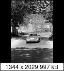 Targa Florio (Part 4) 1960 - 1969  - Page 8 1965-tf-132-06a4e1d