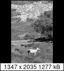 Targa Florio (Part 4) 1960 - 1969  - Page 8 1965-tf-138-10zwe8y