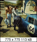 Targa Florio (Part 4) 1960 - 1969  - Page 8 1965-tf-164-01x5cb8