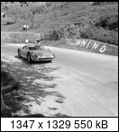 Targa Florio (Part 4) 1960 - 1969  - Page 8 1965-tf-176-16qlepu