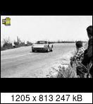 Targa Florio (Part 4) 1960 - 1969  - Page 8 1965-tf-176-19lwiz4