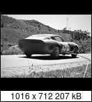 Targa Florio (Part 4) 1960 - 1969  - Page 8 1965-tf-196-13o0ctd
