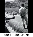 Targa Florio (Part 4) 1960 - 1969  - Page 8 1965-tf-202-11j7i6a