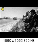 Targa Florio (Part 4) 1960 - 1969  - Page 8 1965-tf-42-023pcza
