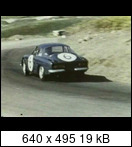 Targa Florio (Part 4) 1960 - 1969  - Page 7 1965-tf-6-0422dl3