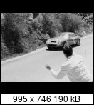 Targa Florio (Part 4) 1960 - 1969  - Page 8 1965-tf-72-10vzfdv