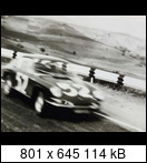 Targa Florio (Part 4) 1960 - 1969  - Page 9 1966-tf-52-0036edho