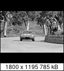 Targa Florio (Part 4) 1960 - 1969  - Page 9 1966-tf-88-02qkfwb