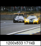  24 HEURES DU MANS YEAR BY YEAR PART FOUR 1990-1999 - Page 32 1995-lm-51-wallacebel5njbr