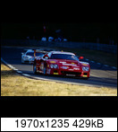  24 HEURES DU MANS YEAR BY YEAR PART FOUR 1990-1999 - Page 41 1996-lm-59-donovannapqrk1u