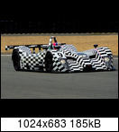24 HEURES DU MANS YEAR BY YEAR PART FIVE 2000 - 2009 - Page 6 2001-lmtd-9-lammershisnkx4