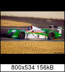 24 HEURES DU MANS YEAR BY YEAR PART FIVE 2000 - 2009 - Page 12 2002-lm-18-hlaryortelsvjfx
