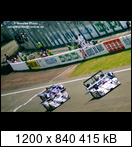 24 HEURES DU MANS YEAR BY YEAR PART FIVE 2000 - 2009 - Page 16 2003-lm-100-start-001oyfzg