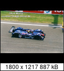 24 HEURES DU MANS YEAR BY YEAR PART FIVE 2000 - 2009 - Page 17 2003-lm-13-cochetgreg98ejd