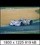 24 HEURES DU MANS YEAR BY YEAR PART FIVE 2000 - 2009 - Page 18 2003-lm-15-lammersbosg2e7m