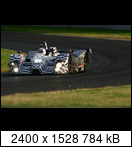 24 HEURES DU MANS YEAR BY YEAR PART FIVE 2000 - 2009 - Page 18 2003-lm-15-lammersbosr9cmx